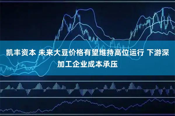 凯丰资本 未来大豆价格有望维持高位运行 下游深加工企业成本承压